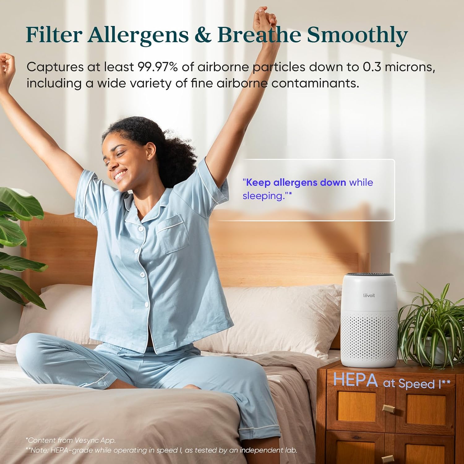 When Your Pet Has Allergies: Air Purifiers That Help Animals, Not Just Their Owners